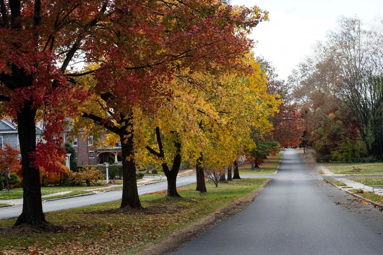 An autumn street in a residential community